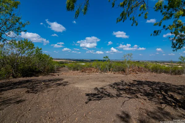 a view of a lake from a yard