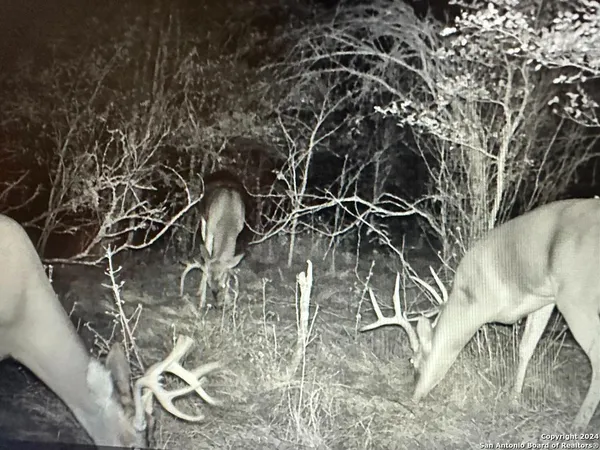 a picture of a room with a lot of white walls