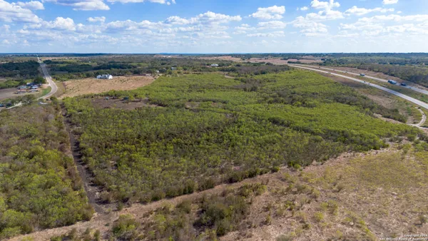 a view of a city with lots of trees