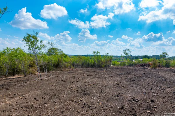 a view of a big yard