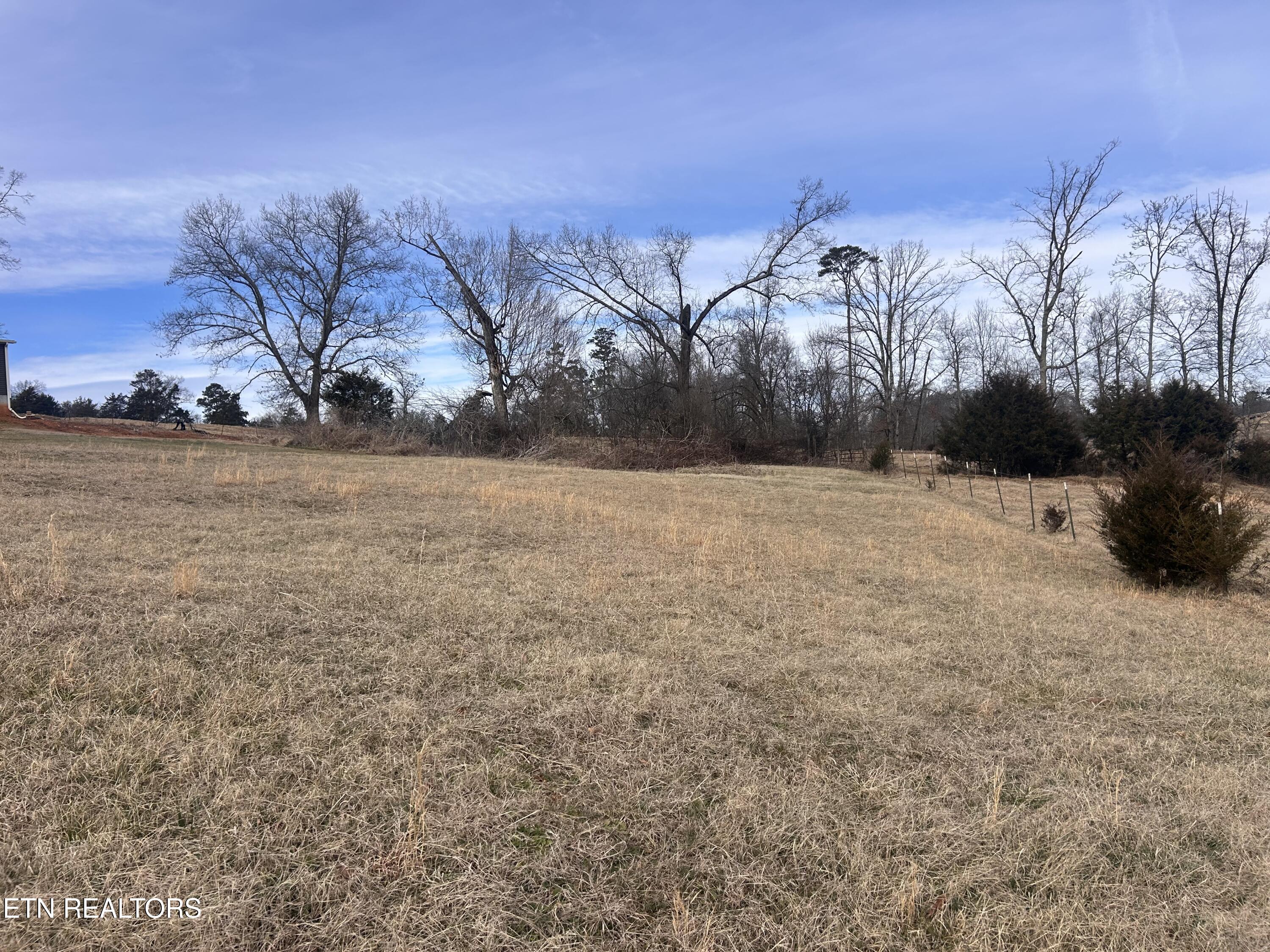 Lot 50 Lookout Drive Rutledge, TN 37861 - Photo 1 of 4 IMG_1927