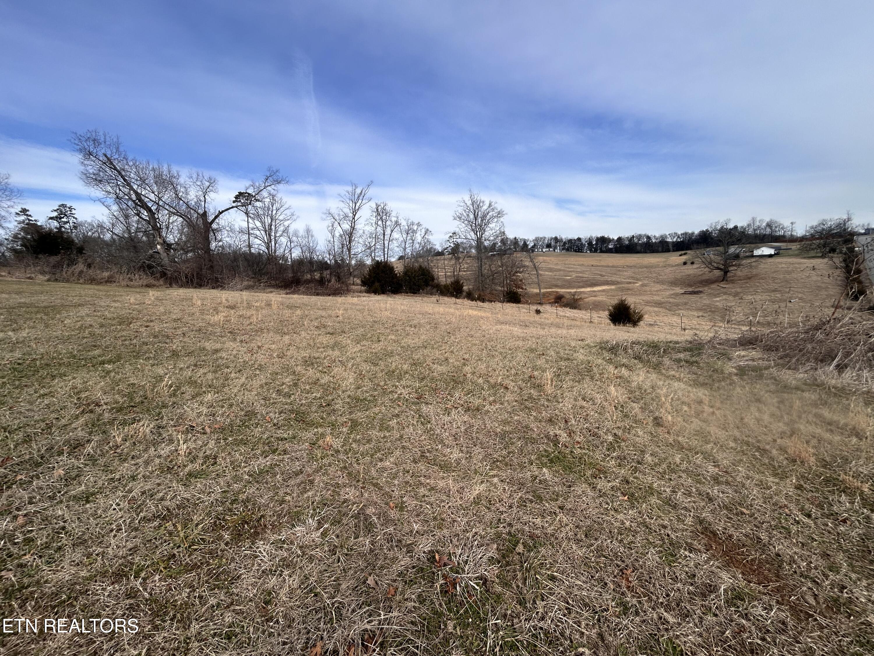 Lot 50 Lookout Drive Rutledge, TN 37861 - Photo 2 of 4 IMG_1928