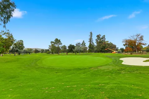 a view of a park with large trees