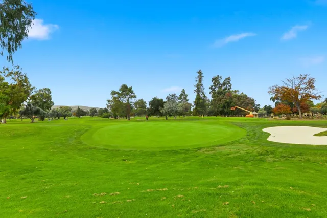 a view of a park with large trees