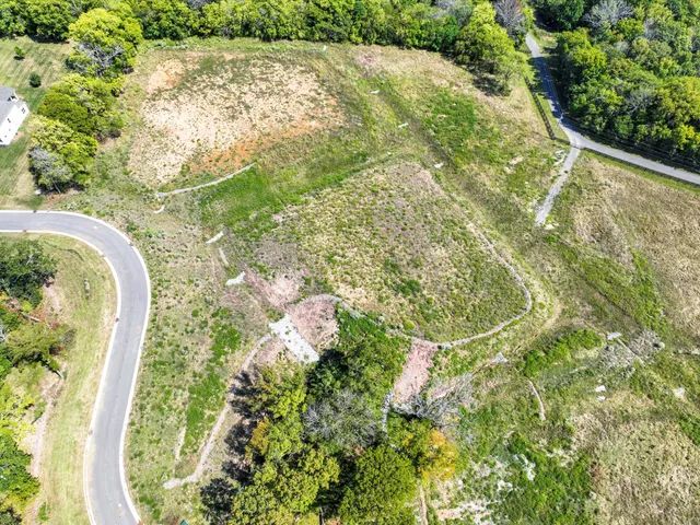a view of a yard with plants
