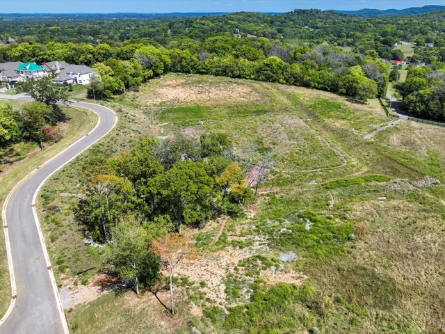 a view of a forest with a street
