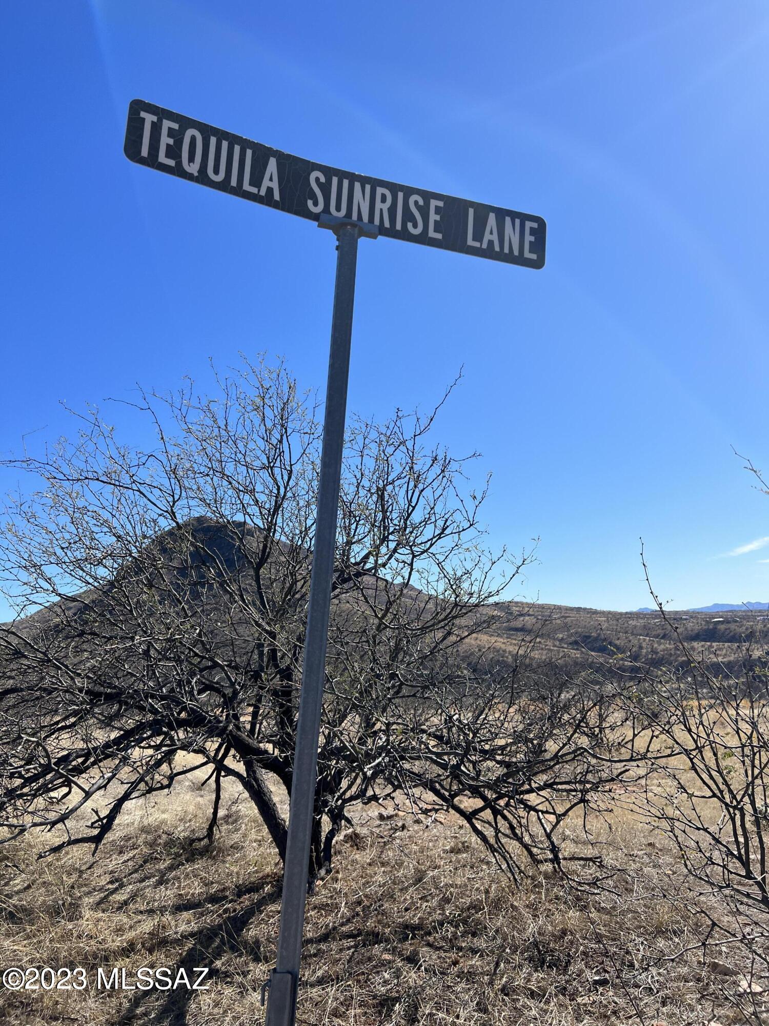 161 D Tequila Sunrise Lane, Unit D Rio Rico, AZ 85648 - Photo 9 of 9