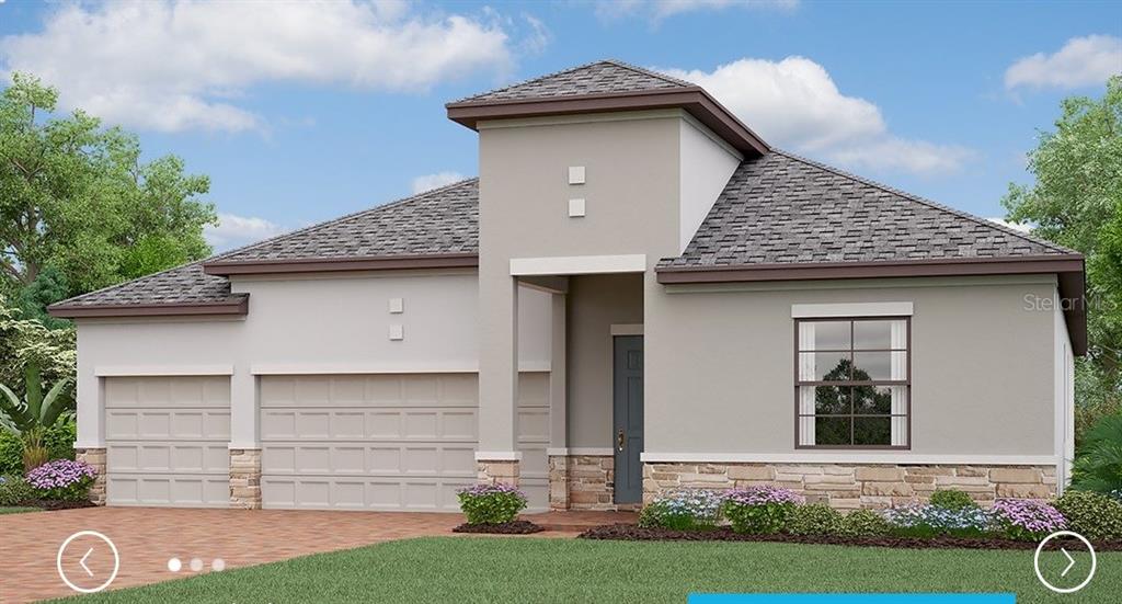 13438 White Sapphire Road Riverview, FL 33579 - Photo 1 of 1 Gallery Image 1