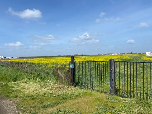 341 Reilly Road Merced, CA 95341 - Photo 2 of 14 a view of a swimming pool and an outdoor seating