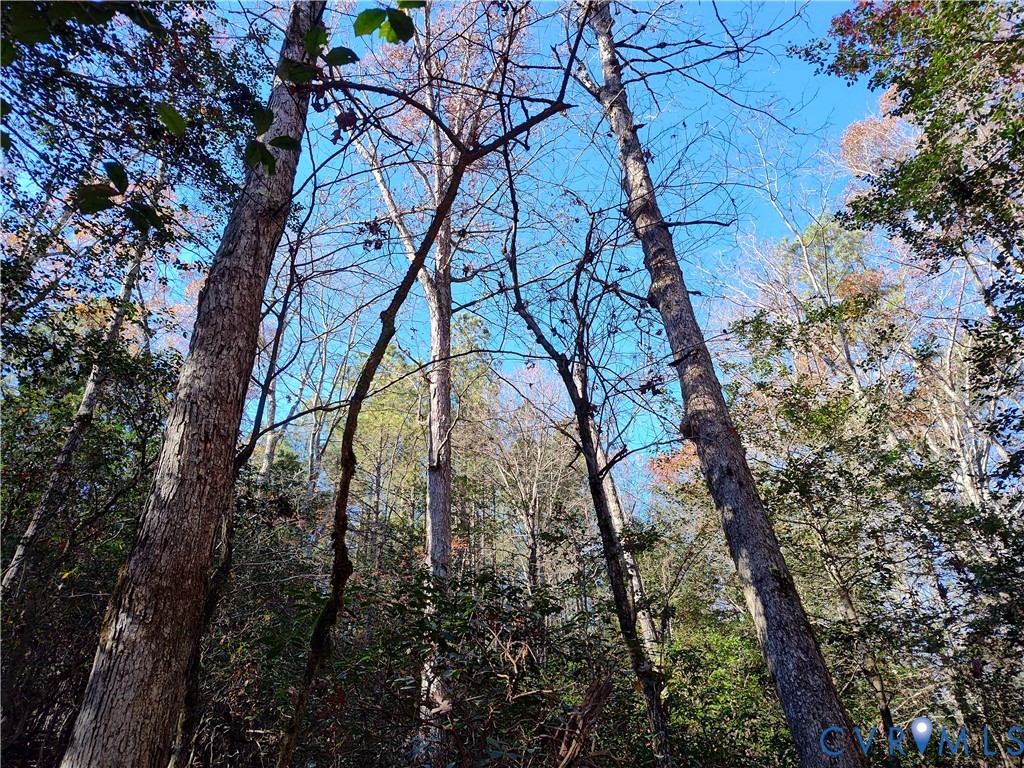 108.5-ac Buzzards Neck Road Lancaster, VA 22503 - Photo 30 of 50