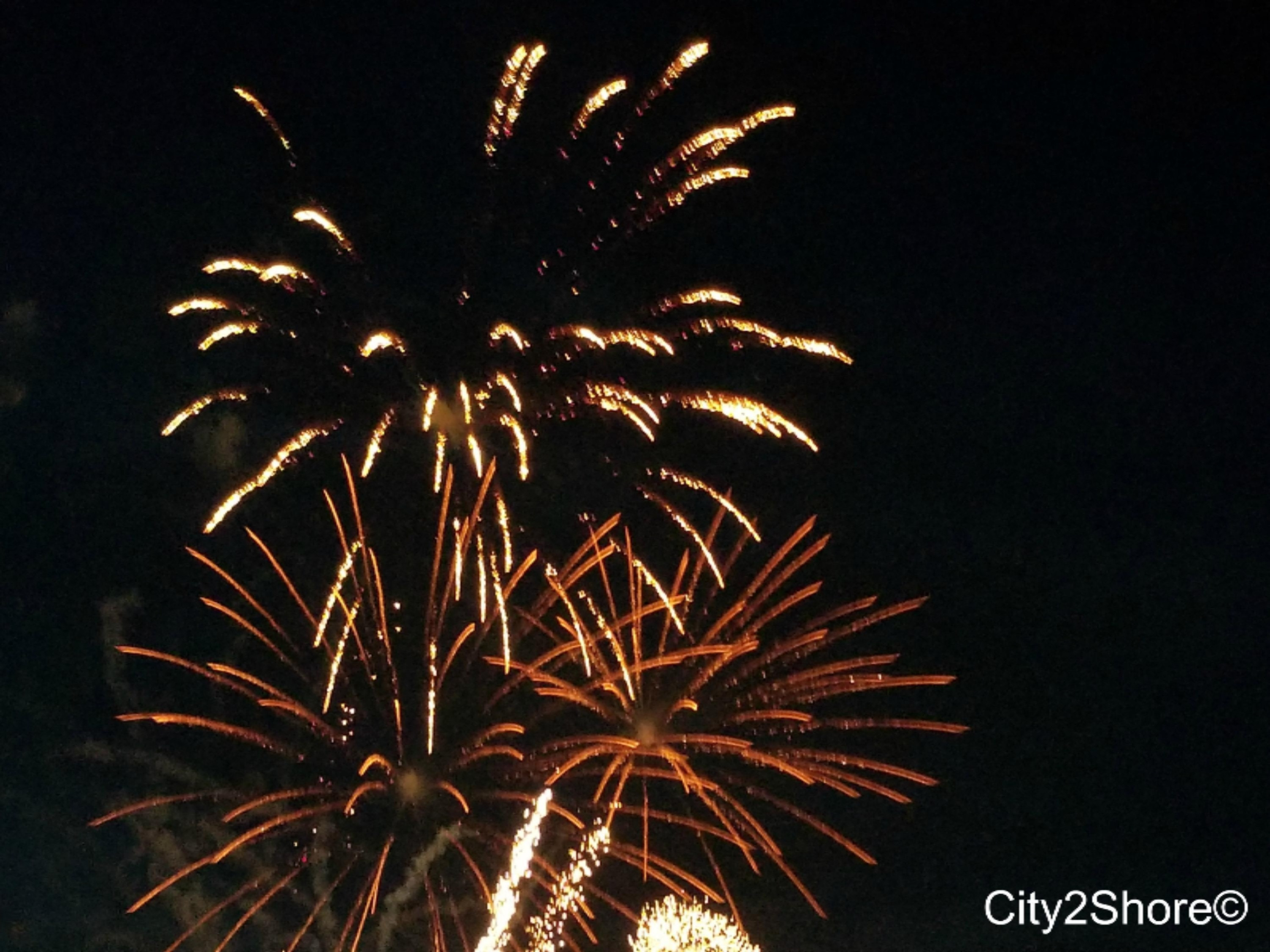 2384 Fillmore Street Jenison, MI 49428 - Photo 28 of 39 4th of July Fireworks
