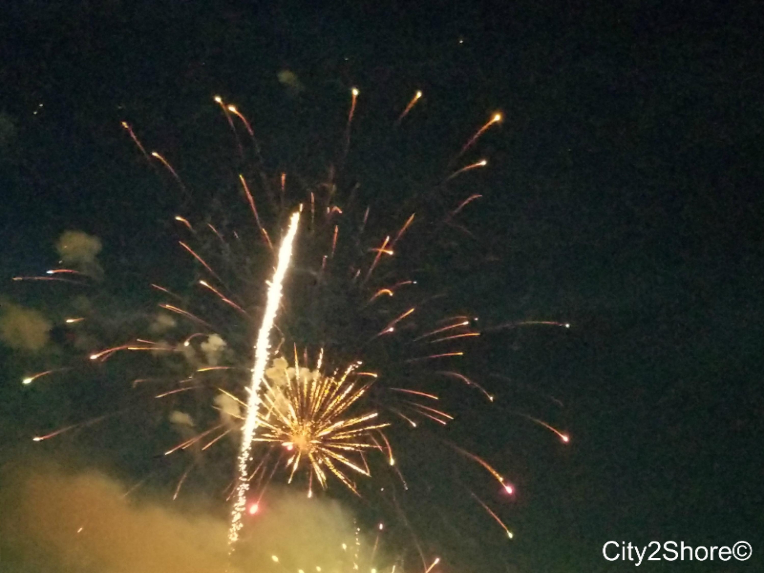2384 Fillmore Street Jenison, MI 49428 - Photo 29 of 39 4th of July Fireworks