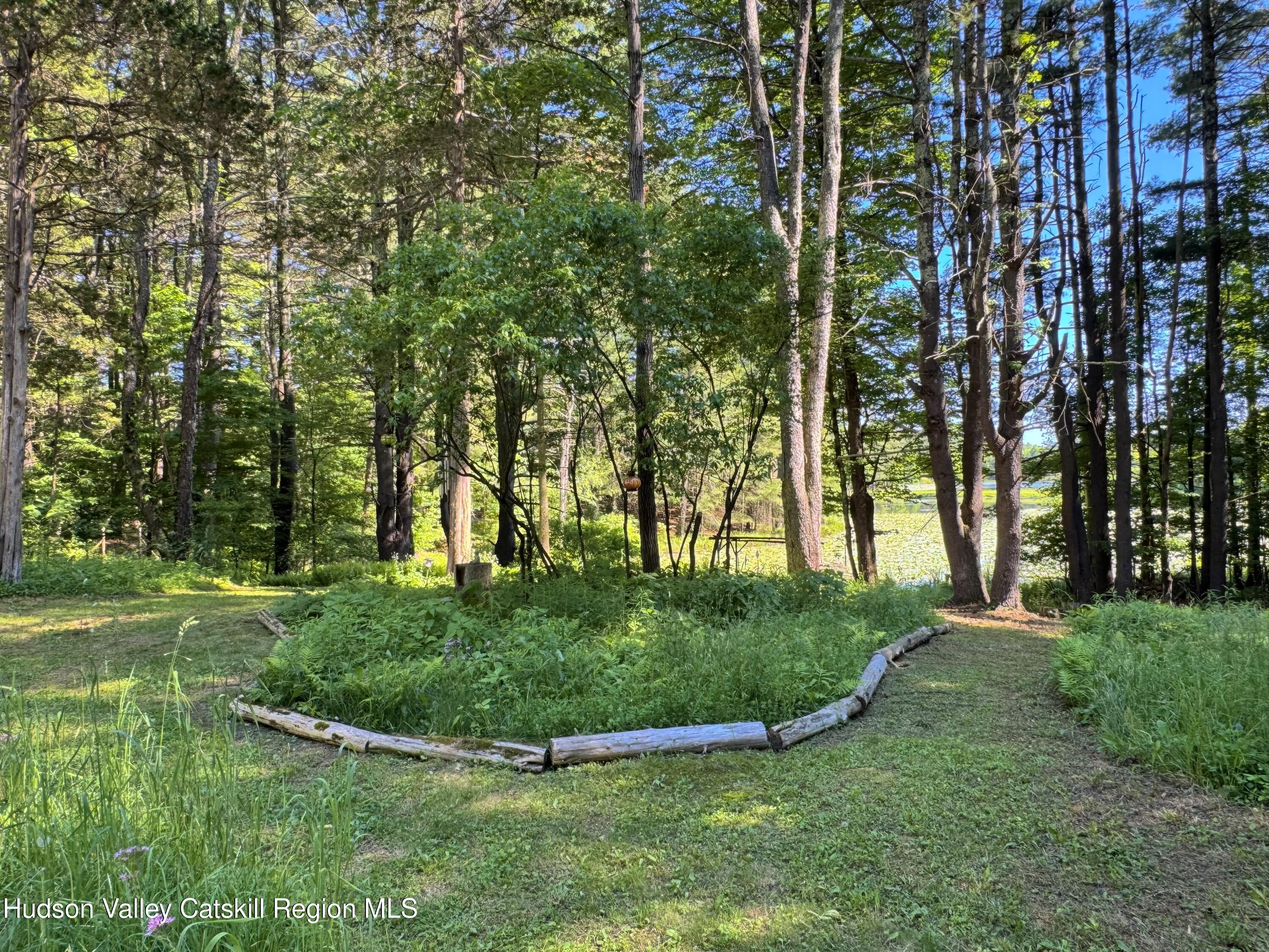 177 Webber Road Earlton, NY 12058 - Photo 26 of 50 a view of a park with large trees
