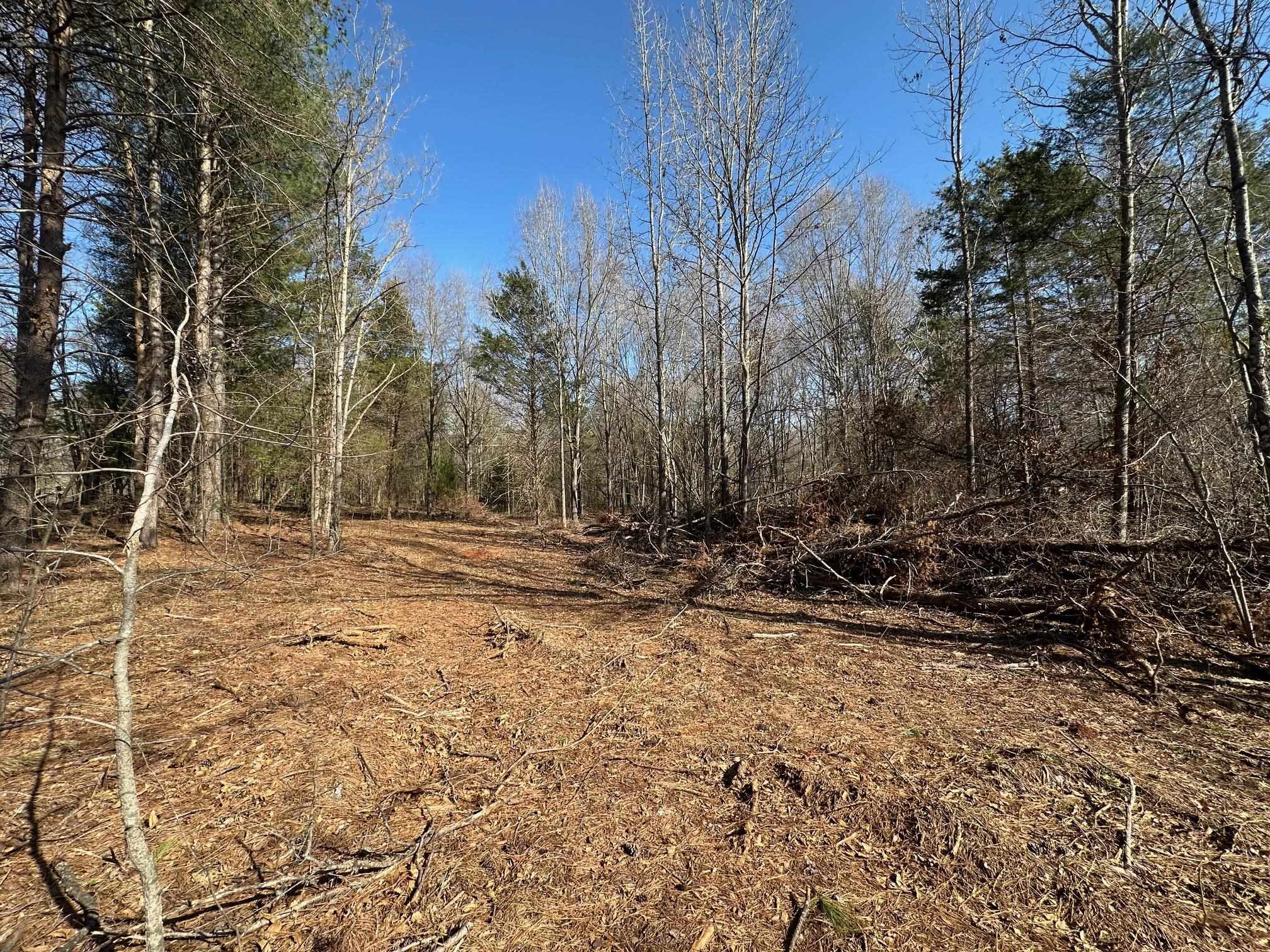 0 Sc Highway Inman, SC 29349 - Photo 1 of 8