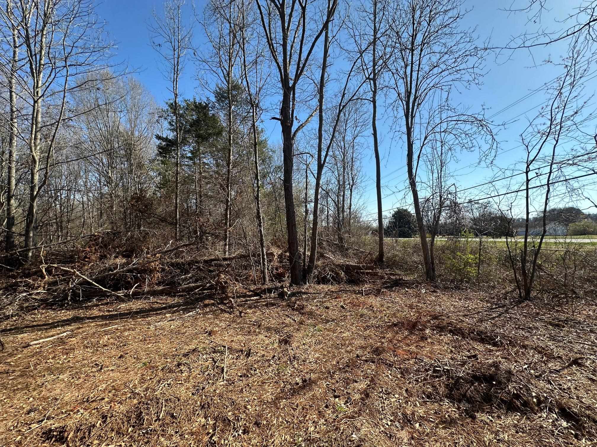 0 Sc Highway Inman, SC 29349 - Photo 2 of 8