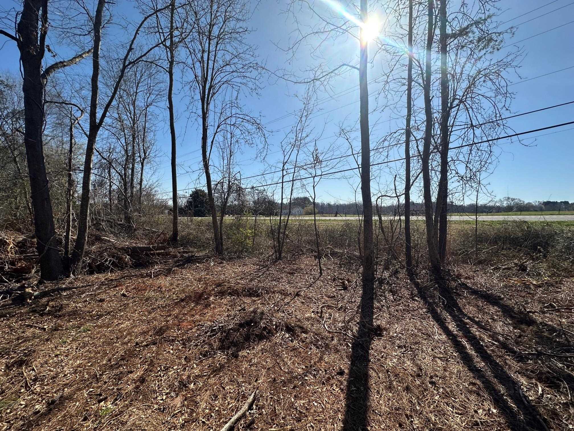 0 Sc Highway Inman, SC 29349 - Photo 3 of 8