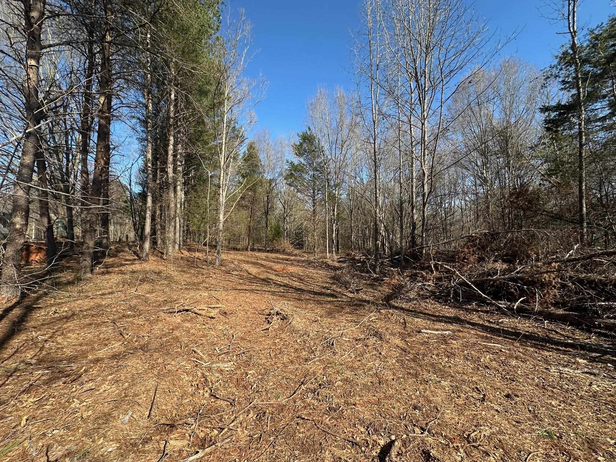 0 Sc Highway Inman, SC 29349 - Photo 4 of 8