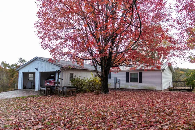 a front view of a house with a large tree and a big yard