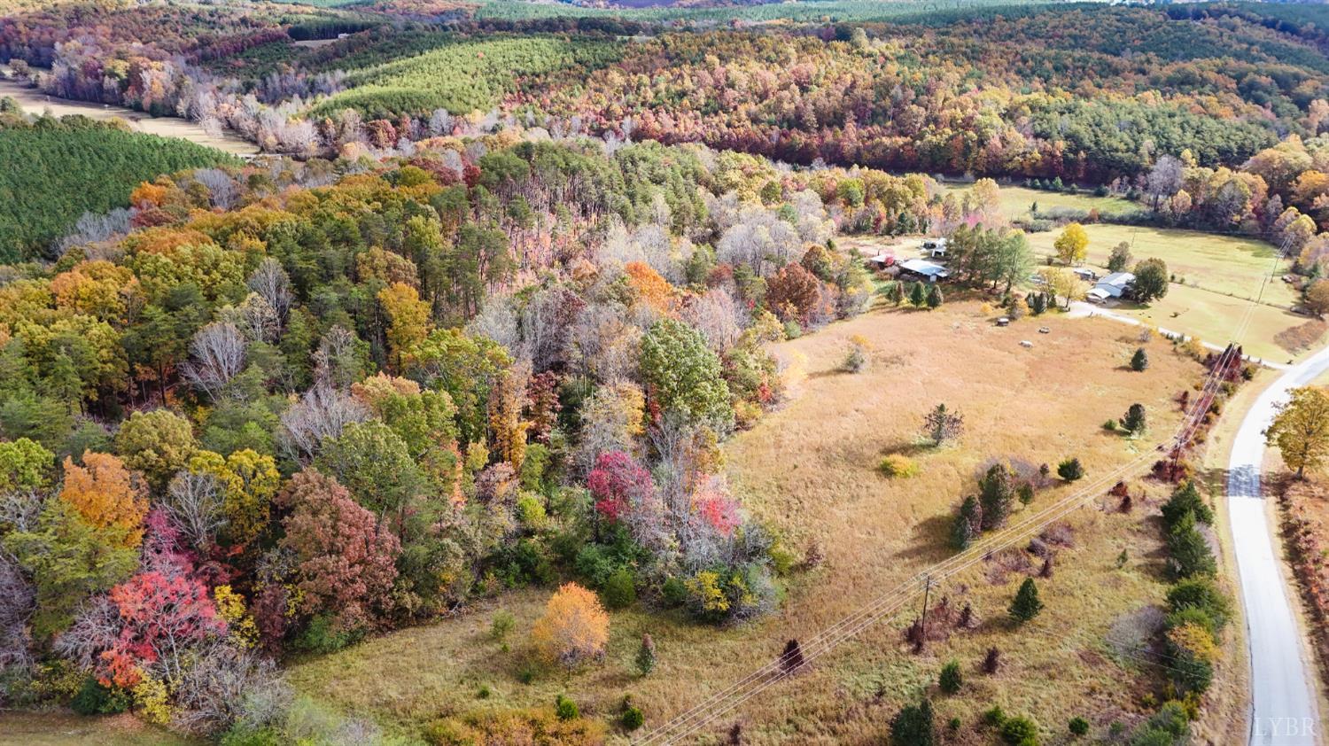 3160 Owens Mill Road Gretna, VA 24557 - Photo 45 of 59 a view of a yard with flowers