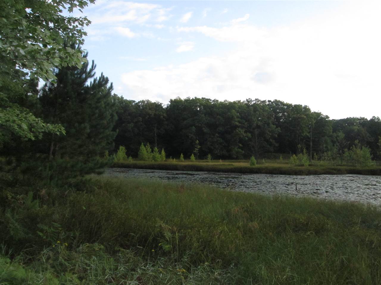 7316 South Morse Road Branch, MI 49402 - Photo 28 of 48 1869400-27.JPG