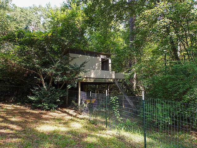 207 County Rd S-18-505 Summerville, SC 29485 - Photo 5 of 41 Treehouse/Chicken Coop
