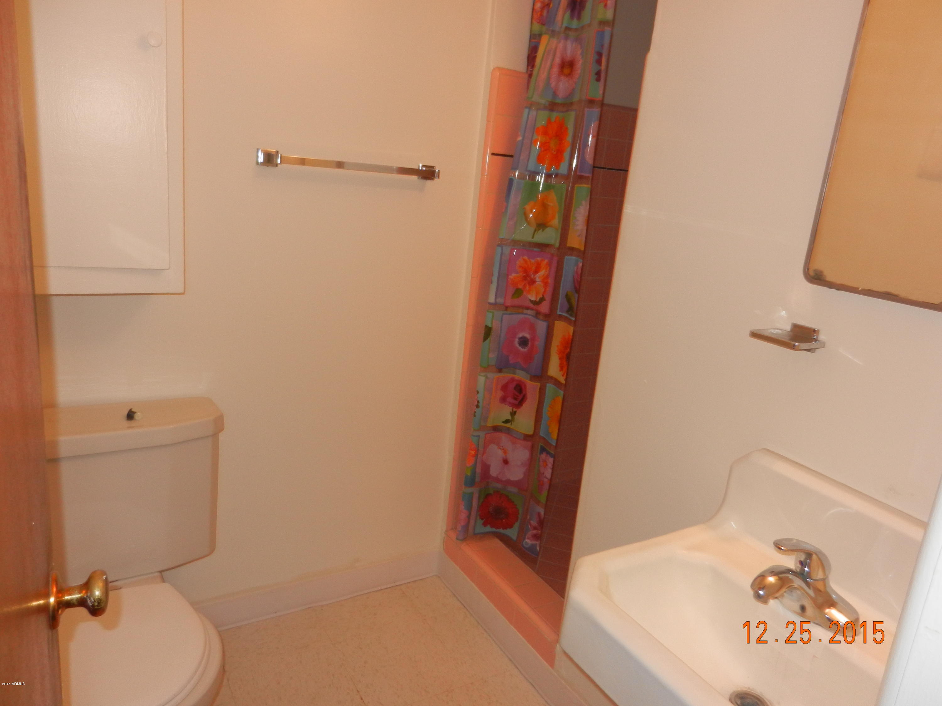 1848 East Coronado Road Phoenix, AZ 85006 - Photo 7 of 18 Master Bath