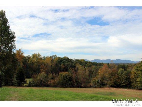 6075 Hunting Country Road Tryon, NC 28782 - Photo 22 of 24