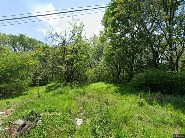 a view of a yard with a tree