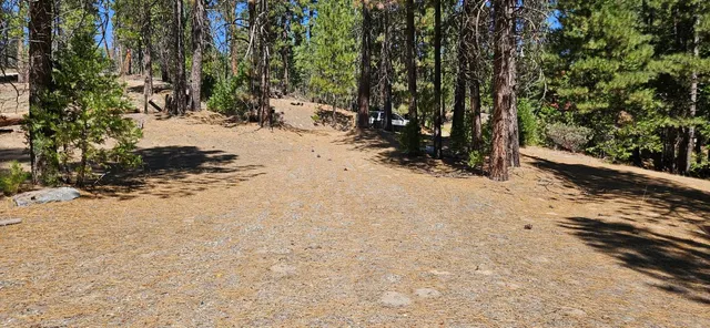 a view of a road with a trees