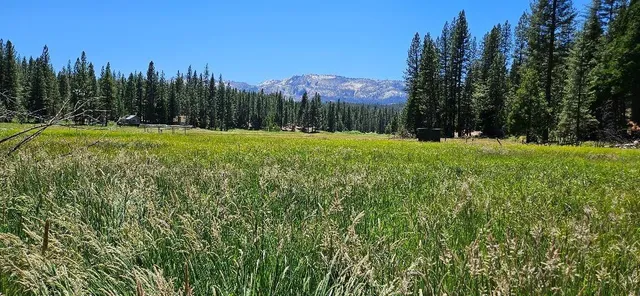 a view of a backyard of a house