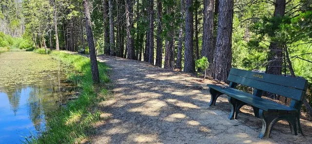 a view of a backyard with chairs