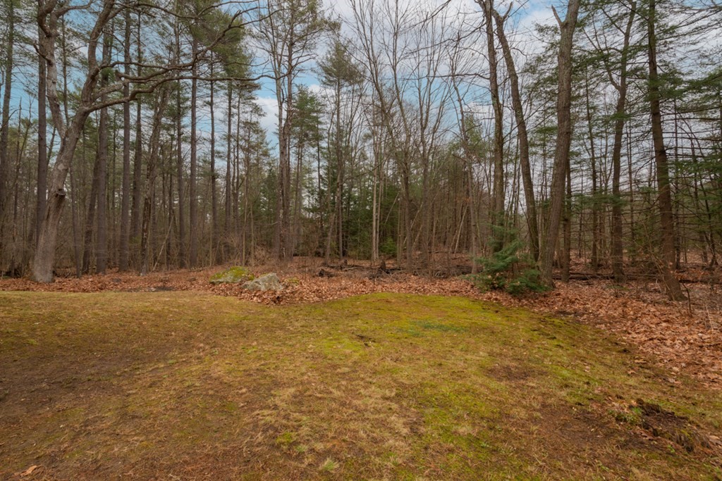 5 Peach Lane Townsend, MA 01469 - Photo 27 of 32 a view of swimming pool with large trees