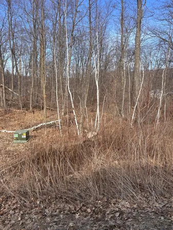 $20,900 | Xxx Lake Camile Drive, Randall, MN 56475