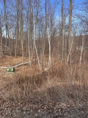 $20,900 | Xxx Lake Camile Drive, Randall, MN 56475