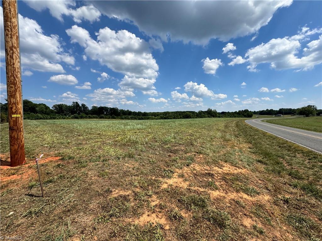 Lot #6 Sandy Springs Road Mocksville, NC 27028 - Photo 2 of 7