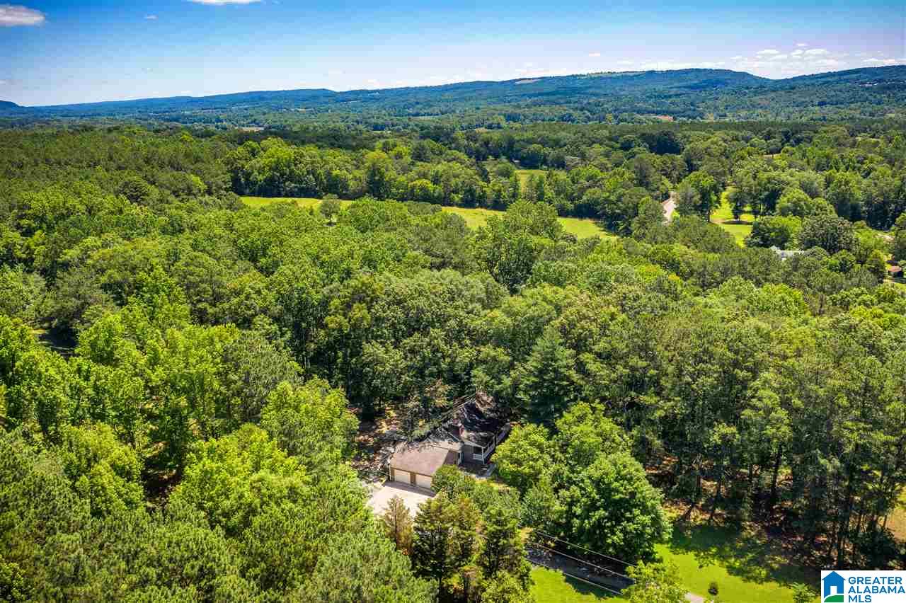 225 County Road 33 Oneonta, AL 35121 - Photo 35 of 41