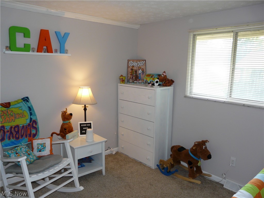 6400 Cary Road North Ridgeville, OH 44039 - Photo 17 of 34 Gallery Image 17