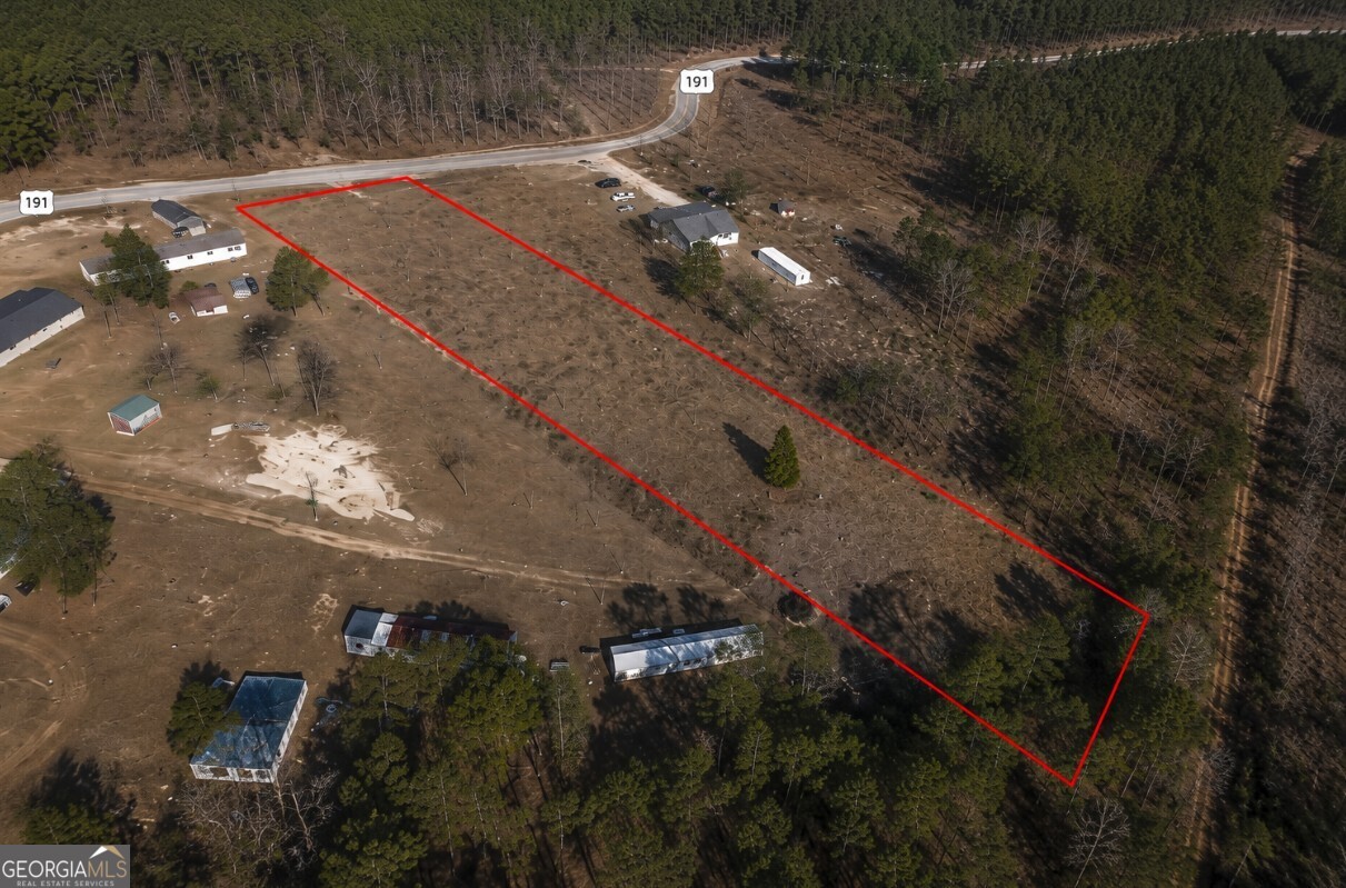 0 Grubbs Road Abbeville, AL 36373 - Photo 2 of 7