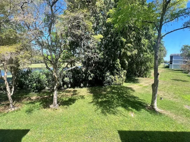a view of a yard with large trees