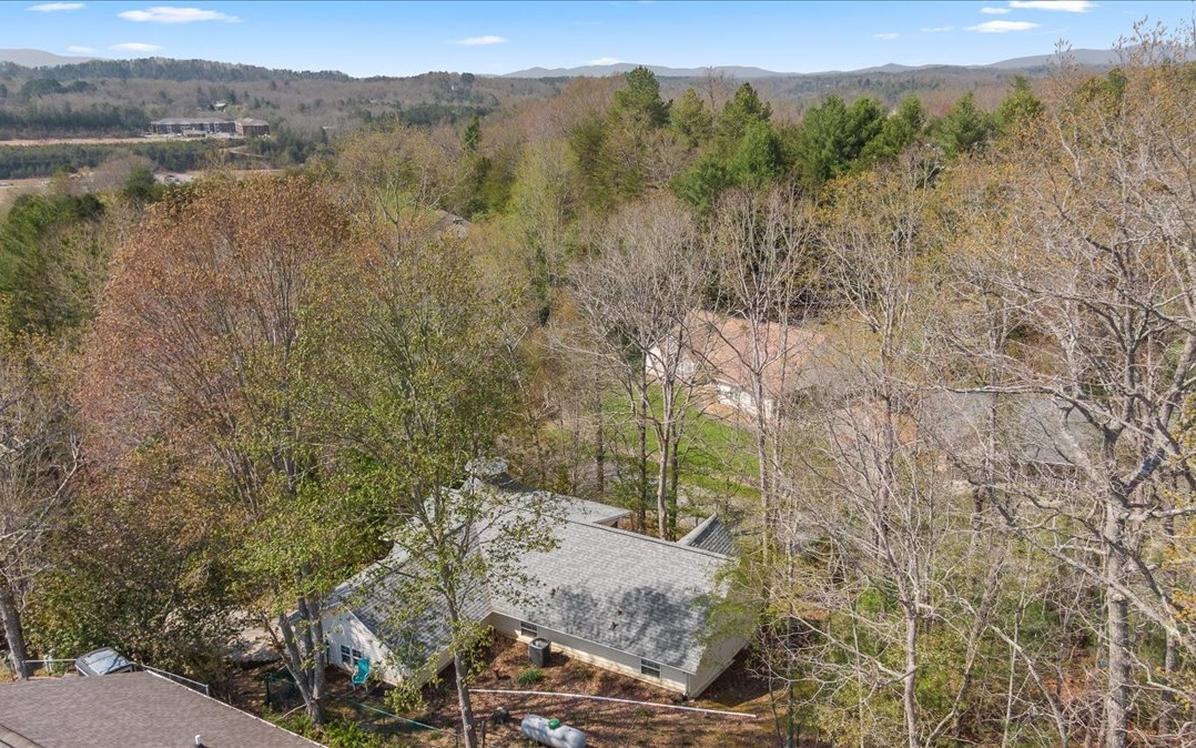 25 Brookwood Court Blue Ridge, GA 30513 - Photo 31 of 59 Additional View