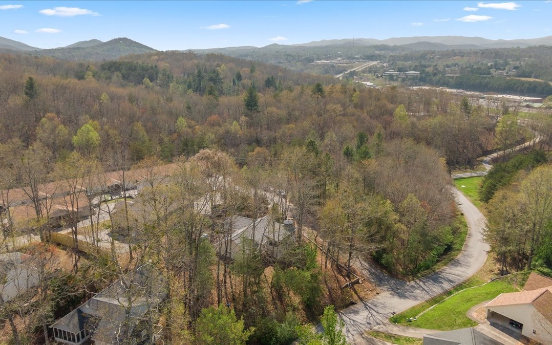 25 Brookwood Court Blue Ridge, GA 30513 - Photo 37 of 59 Additional View