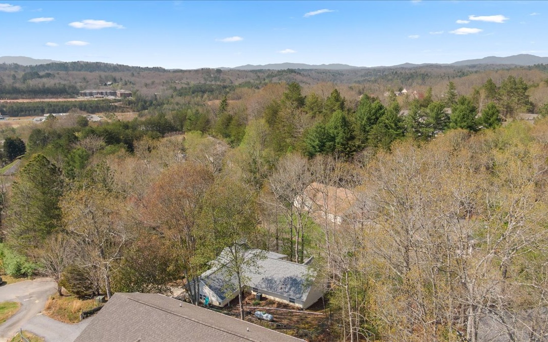 25 Brookwood Court Blue Ridge, GA 30513 - Photo 41 of 59 Additional View
