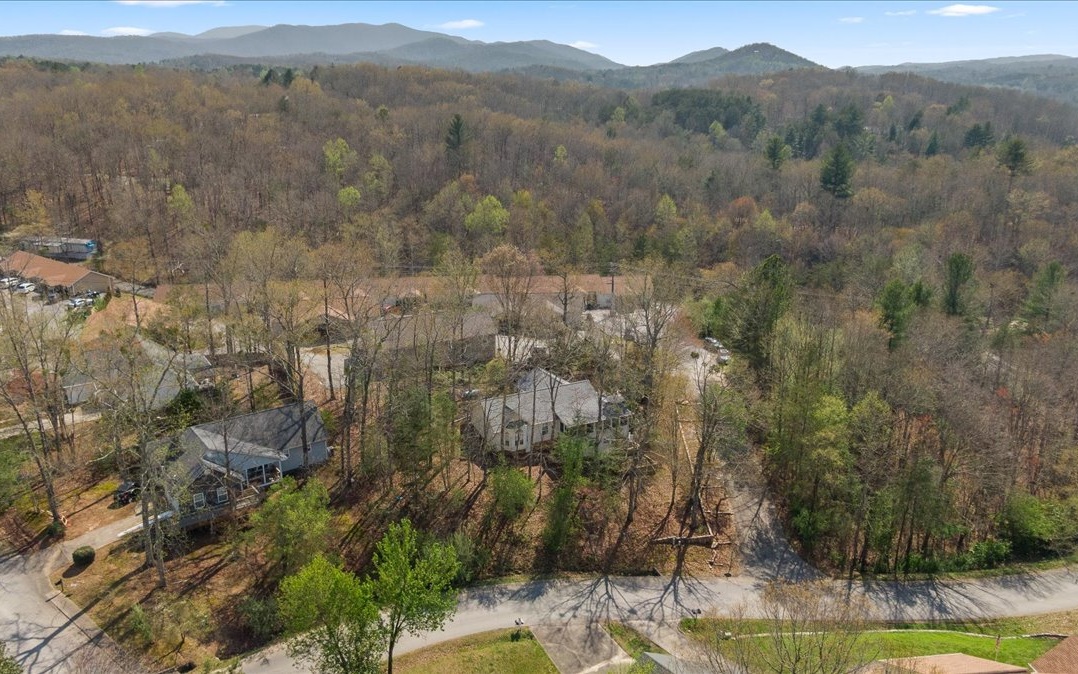 25 Brookwood Court Blue Ridge, GA 30513 - Photo 42 of 59 Additional View