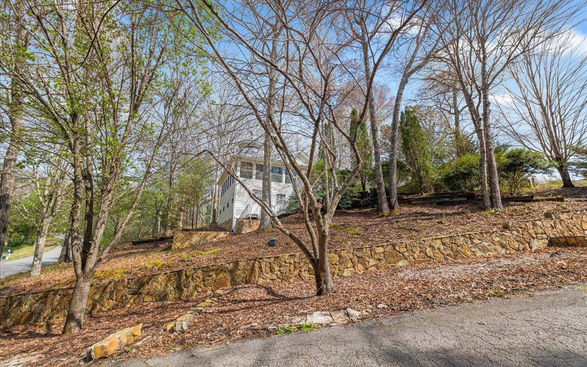 25 Brookwood Court Blue Ridge, GA 30513 - Photo 48 of 59 Additional View