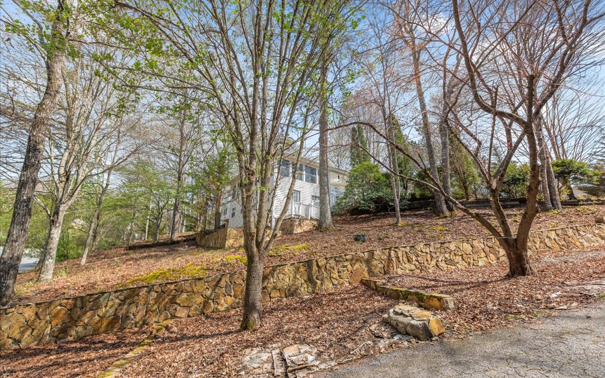 25 Brookwood Court Blue Ridge, GA 30513 - Photo 49 of 59 Additional View