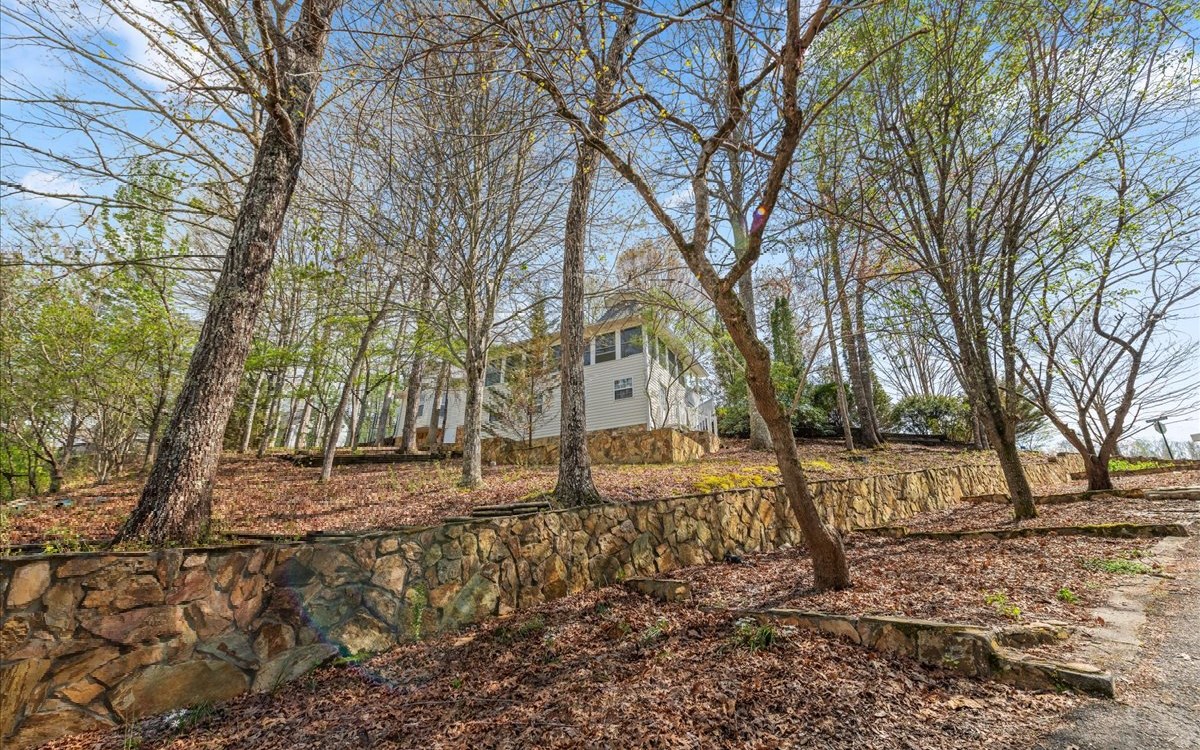 25 Brookwood Court Blue Ridge, GA 30513 - Photo 53 of 59 Additional View