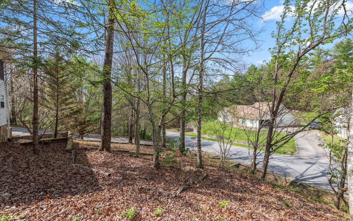 25 Brookwood Court Blue Ridge, GA 30513 - Photo 58 of 59 Additional View