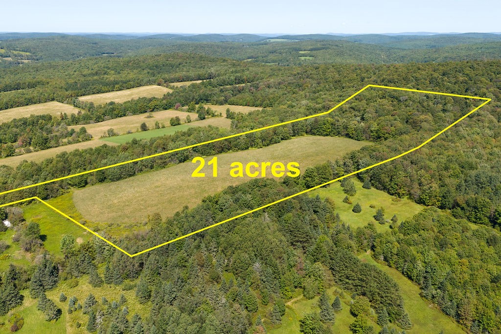 Lot 11 Warren Road Treadwell, NY 13846 - Photo 4 of 10