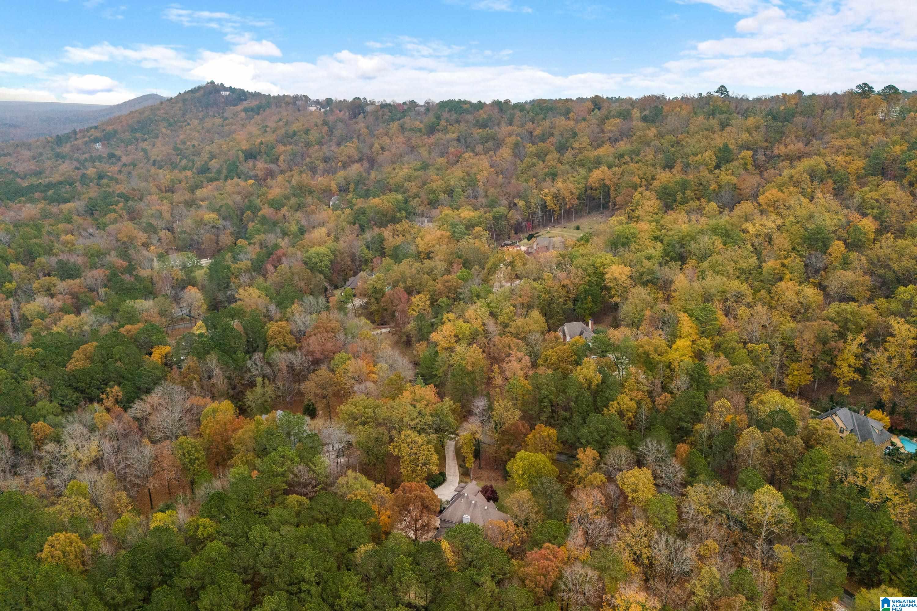 109 Trumpington Way Pelham, AL 35124 - Photo 75 of 77