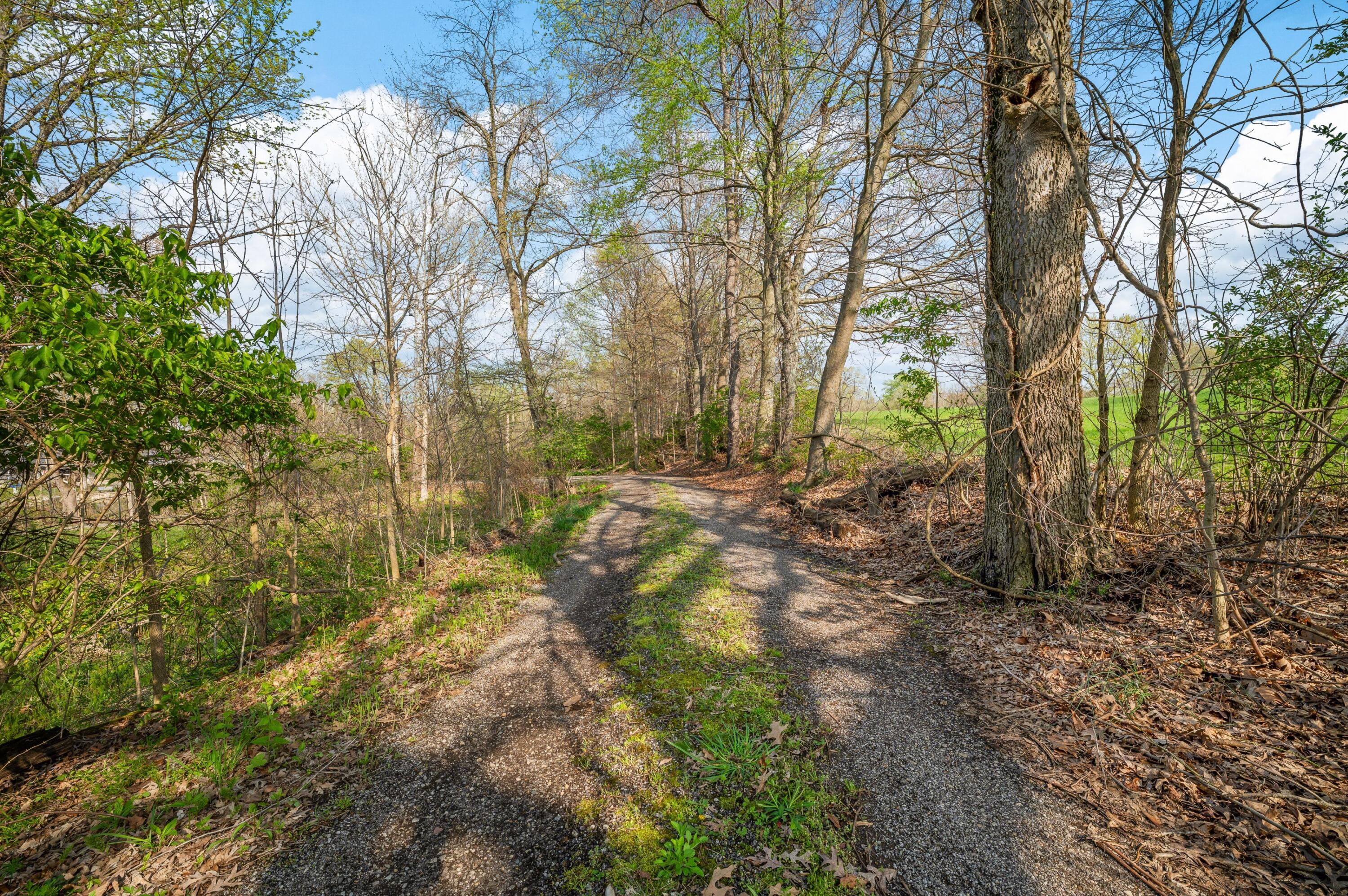 4435 Lake Chapin Road Berrien Springs, MI 49103 - Photo 72 of 79 78DSC_9815